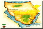 Sinai map خريطة سيناء